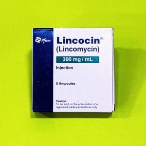Lincocin (Lincomycin) 300mg/ml Injection